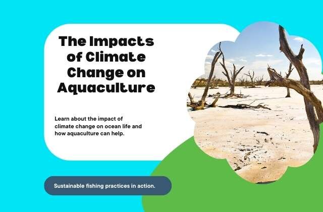 The Impacts of Climate Change on Aquaculture (640 x 420 px)