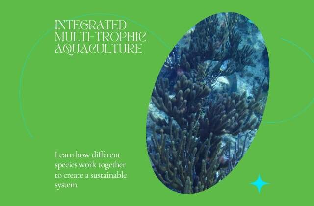 Understanding Integrated Multi-Trophic Aquaculture (640 x 420 px)