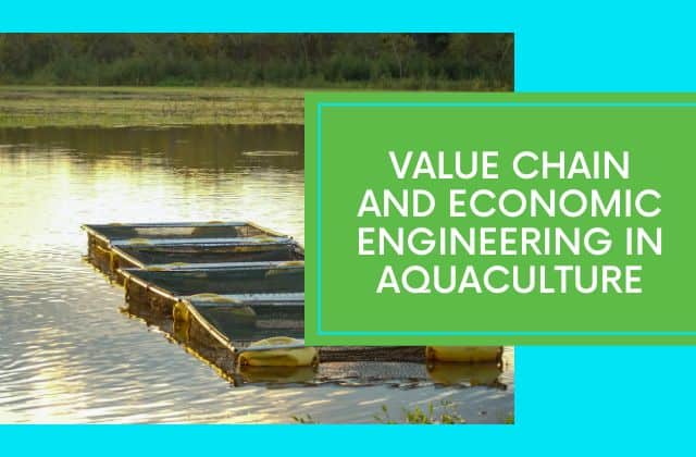 value chain and economic engineering in aquaculture